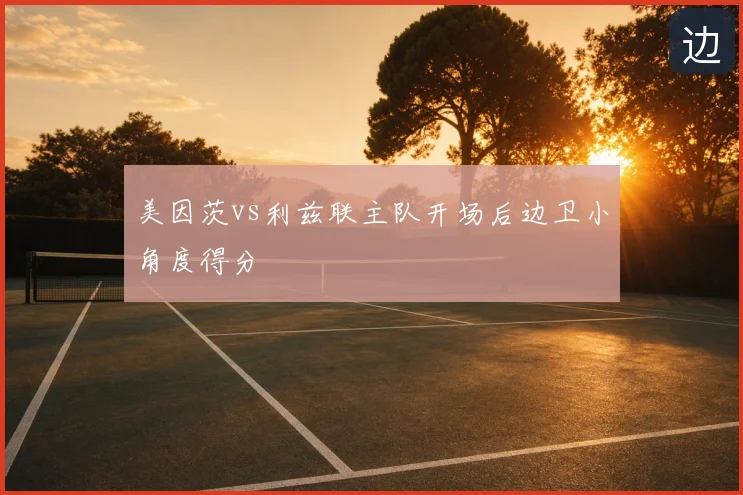 美因茨vs利兹联主队开场后边卫小角度得分